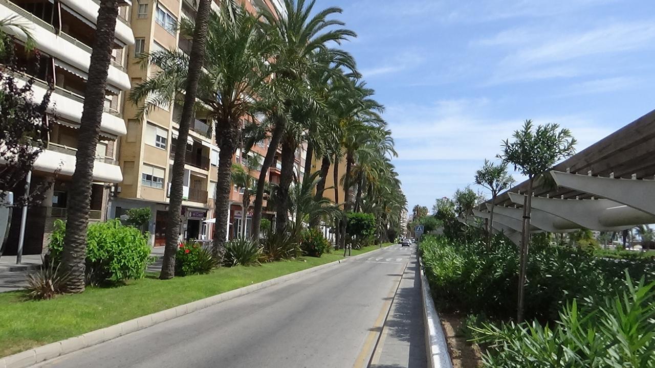 Vida Sol Lejlighed Torrevieja Eksteriør billede