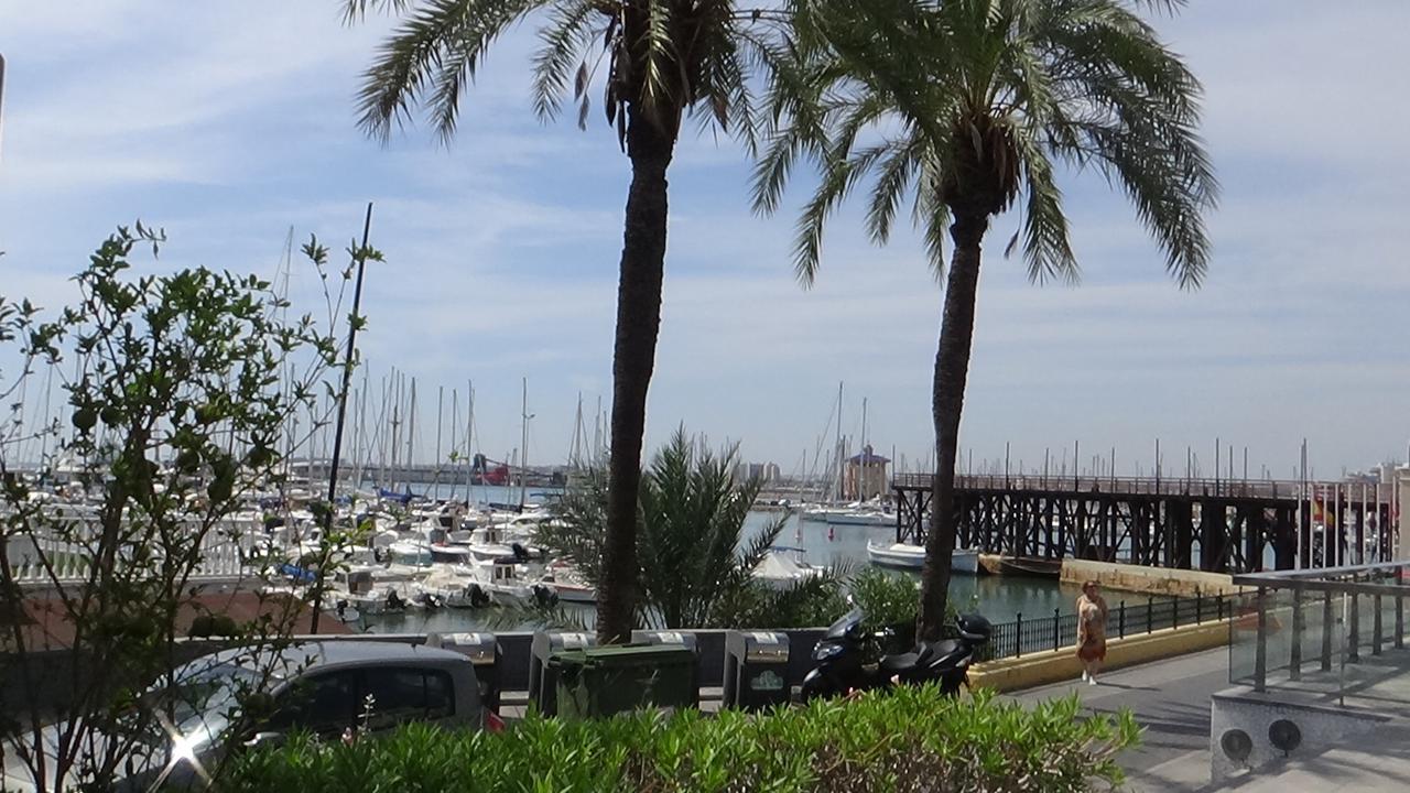 Vida Sol Lejlighed Torrevieja Eksteriør billede